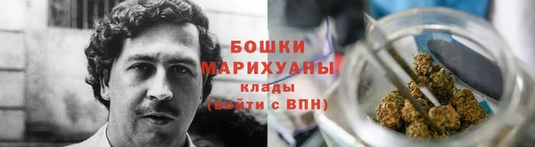 гашик Богородск