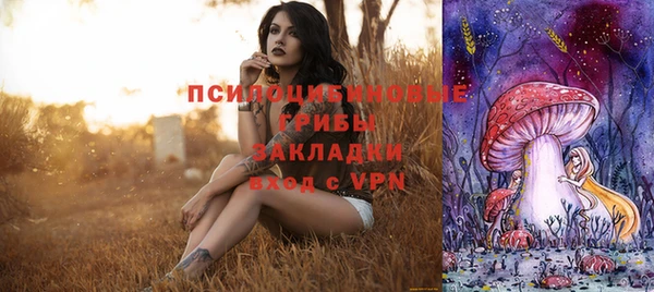 хмурый Богородицк