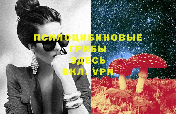 гашик Богородск