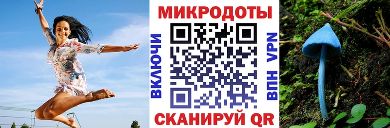 Галлюциногенные грибы Psilocybine cubensis  Нефтеюганск 